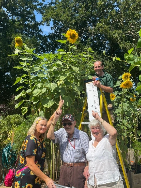 Moat House Sunflower Wins Gardening Competition 