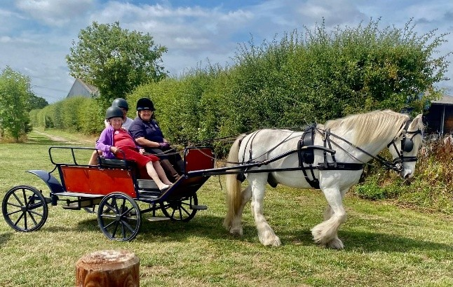 Joy - Kiwi House resident - enjoying horse and carriage riding