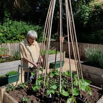 Anne Helps Garden Bloom at Moat House Care Home