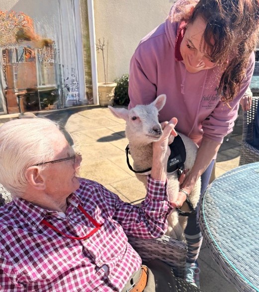 Lambs visit Harrier House Care Home