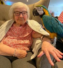 Birds bringing joy to Kiwi House