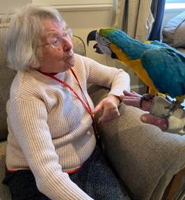 Birds bringing joy to Kiwi House