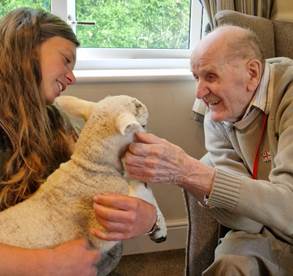 Lambs visit Kiwi house residents
